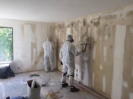 Best Residential Mold Inspection & Testing in Citrus, CA